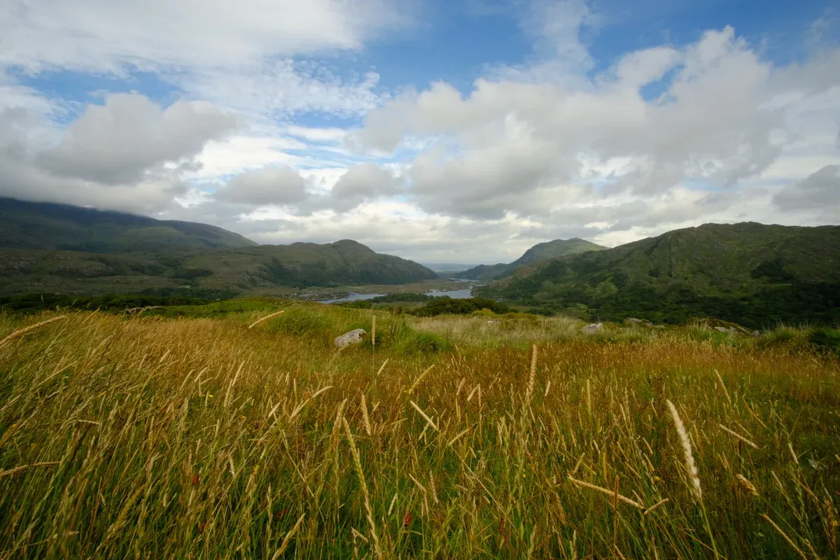 Ladies View over Killarney National Park on a Ring of Kerry tour